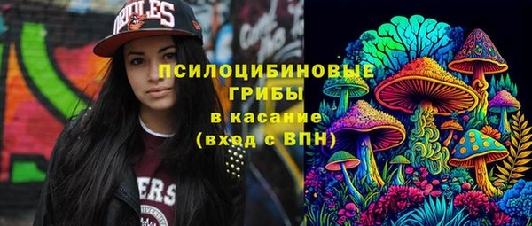 соль курить ск Михайлов